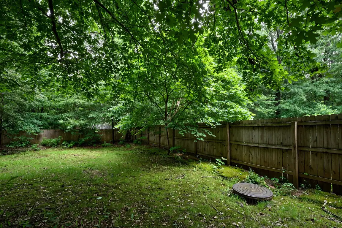 Dense Shade Trees Over Most Laterals